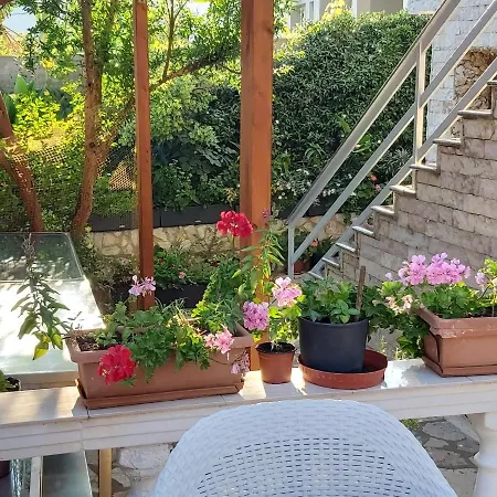 Vila Blu 3* Химара